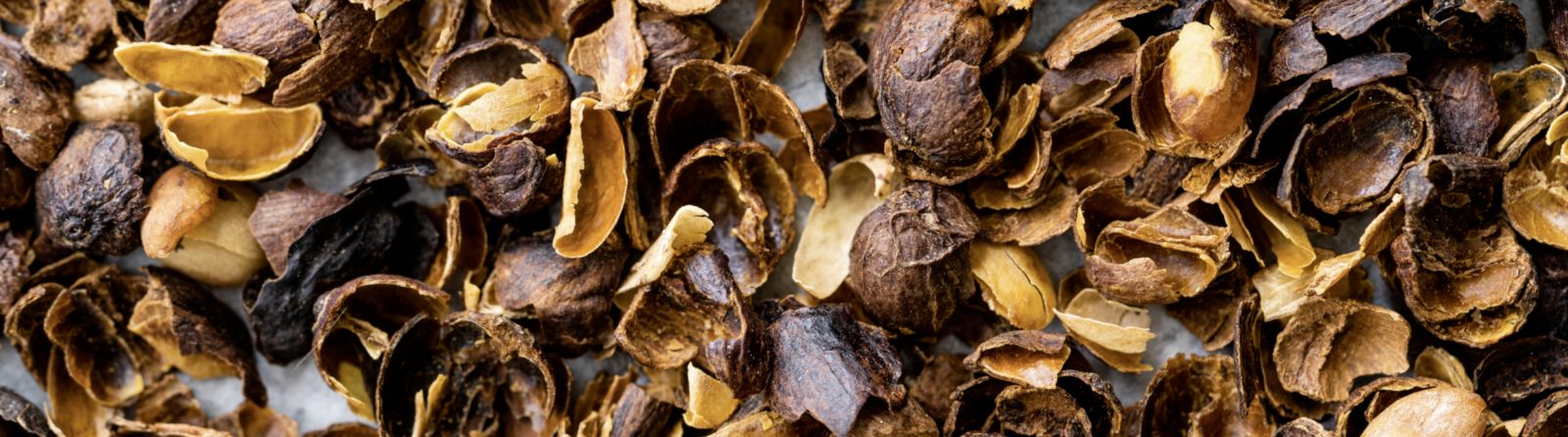 Getrocknete Cascara in Nahaufnahme
